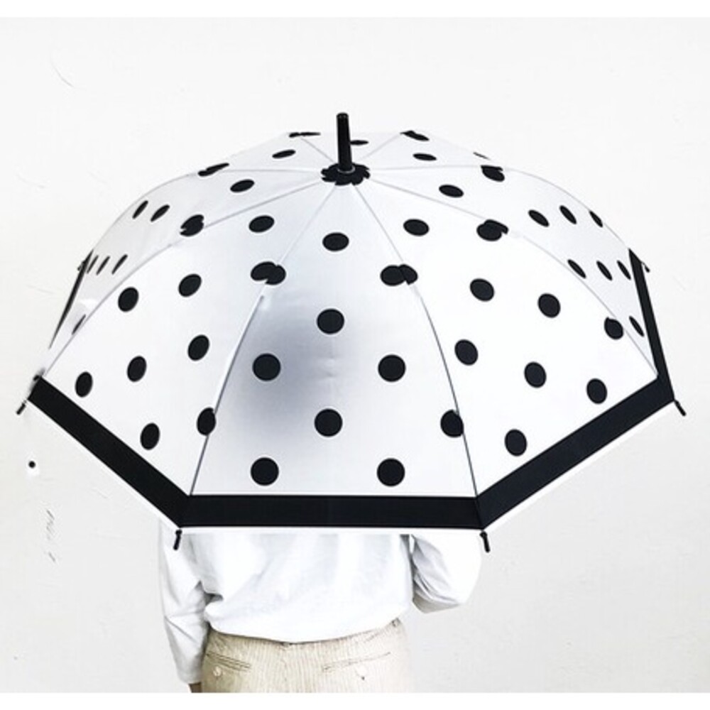 【現貨】網美必備點點雨傘 半透明 長柄傘 直桿傘 彎柄雨傘 點點傘 貓咪傘 點點 網美傘 雨具 圖片