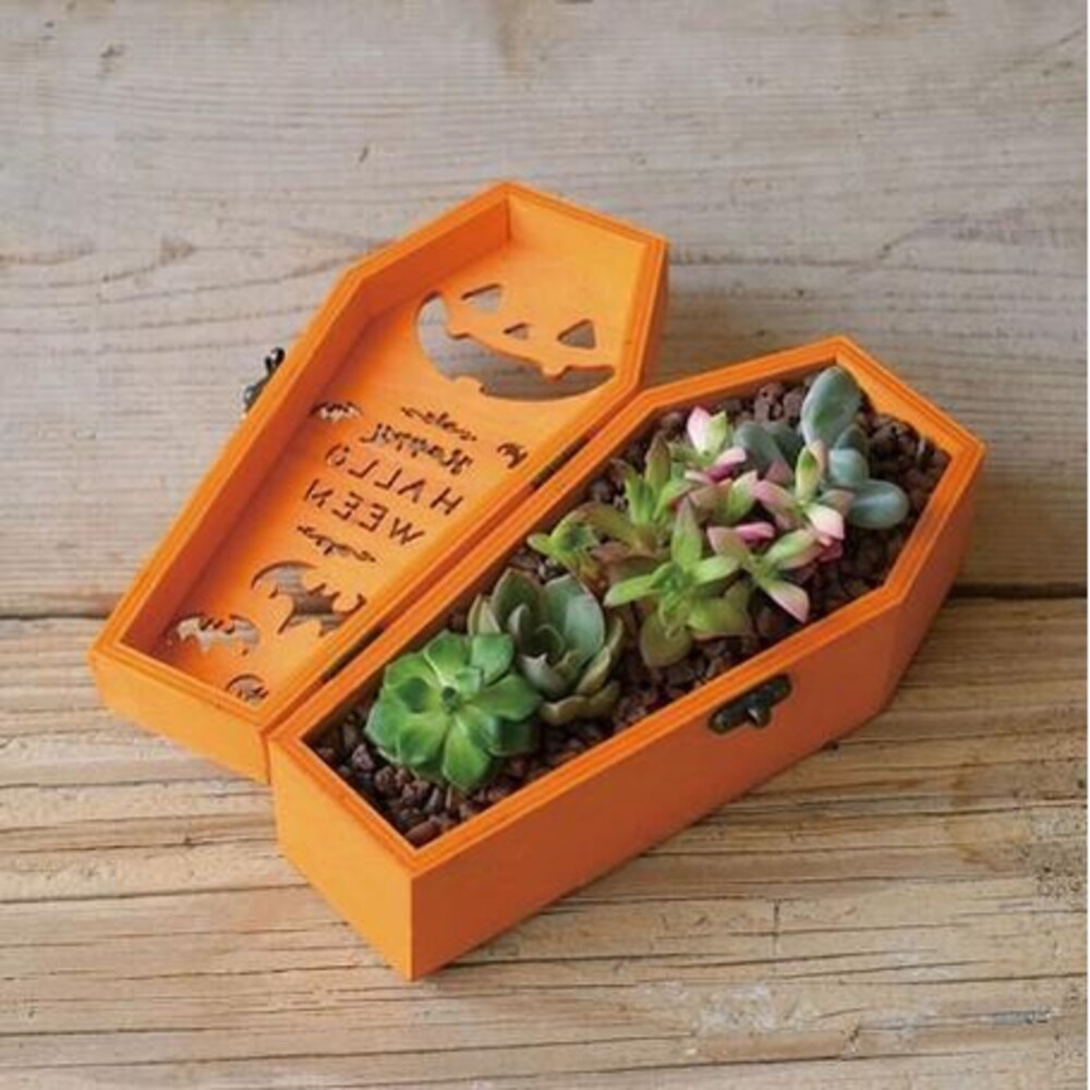 【現貨】植物盆栽 節慶氣氛 多肉仙人掌 糖果盒 木盒 飾品盒 點心盒 收納盒 手飾 餐廳裝飾 圖片