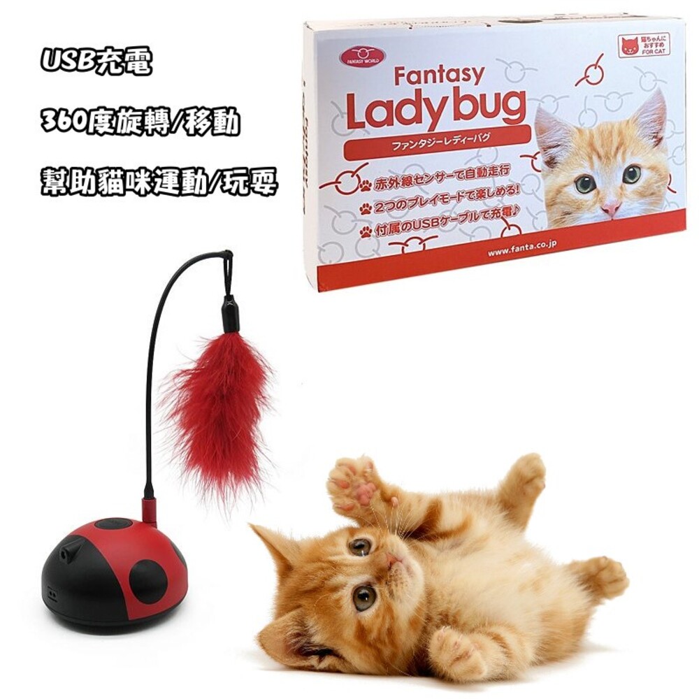 【現貨】瓢蟲逗貓玩具 USB充電 360度旋轉 移動式 逗貓棒 貓咪玩具 動物羽毛 訓練用品
