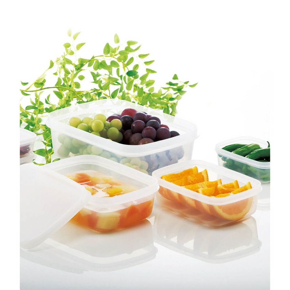 【現貨】日本製 保鮮盒 2入 耐熱 可微波可冷凍 600ml 食物分裝盒 冰箱收納 收納盒 簡約 儲存盒 圖片