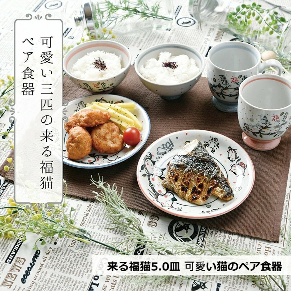 【現貨】日本製來福貓盤子 中皿 16.8cm 陶瓷盤 料理盤 餐盤 招財貓 日本福貓 日本瓷器 紅色 圖片
