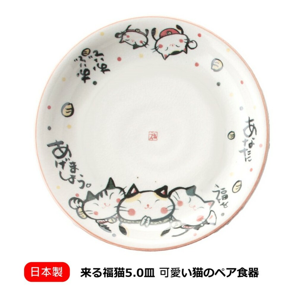 【現貨】日本製來福貓盤子 中皿 16.8cm 陶瓷盤 料理盤 餐盤 招財貓 日本福貓 日本瓷器 紅色 封面照片