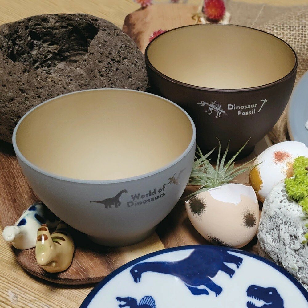 SF-018572-日本製 恐龍碗 可微波 飯碗 輕量碗 兒童碗 餐碗 露營碗 露營 野餐 霸王龍 棘龍