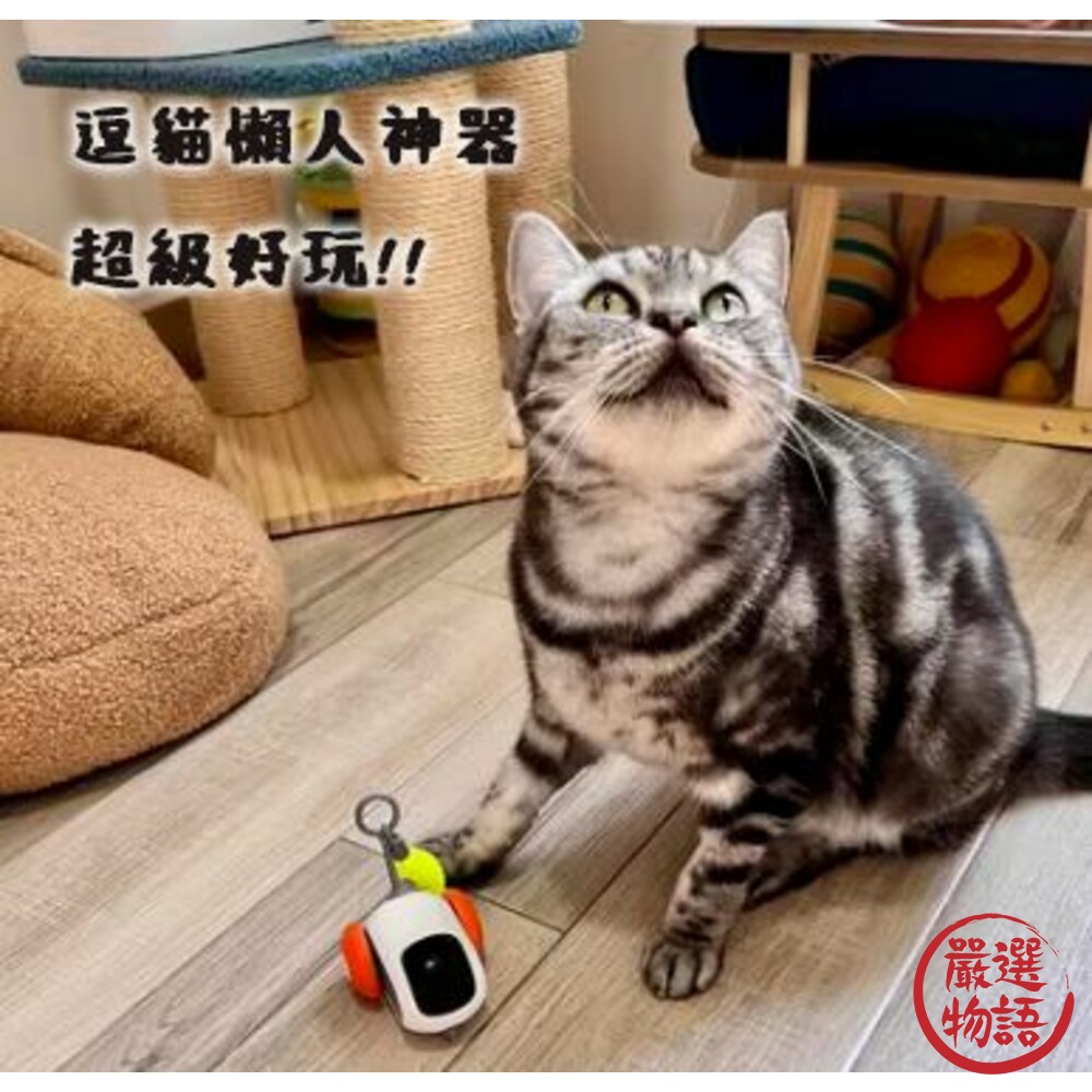 自動遙控車 逗貓玩具 貓玩具-圖片-6