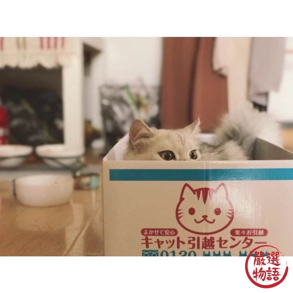 日式貓咪紙箱 貓抓板 貓窩-thumb